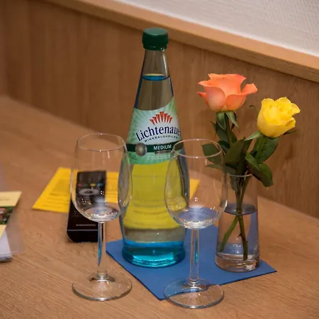 Hotel Park Eckersbach Zwickau