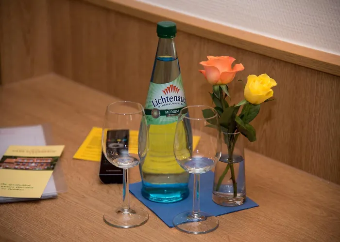 Hotel Park Eckersbach Zwickau